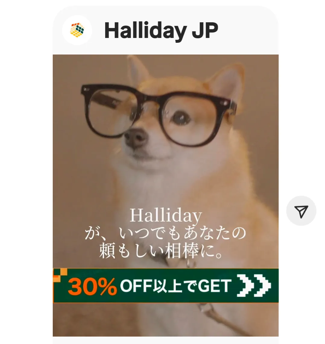 当犬舎出身りこちゃんCM大活躍